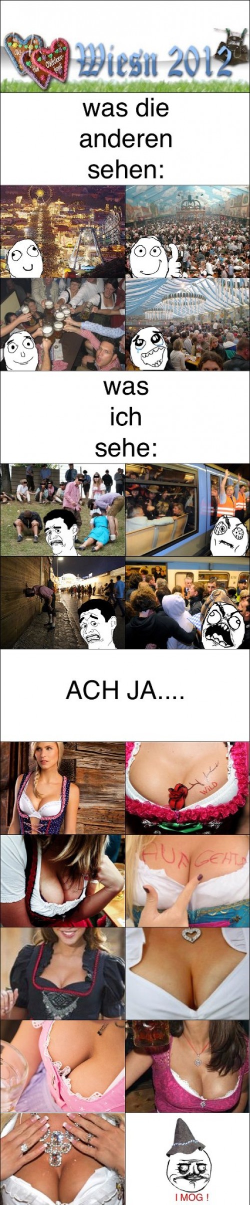 hornoxe.com_picdump278_010