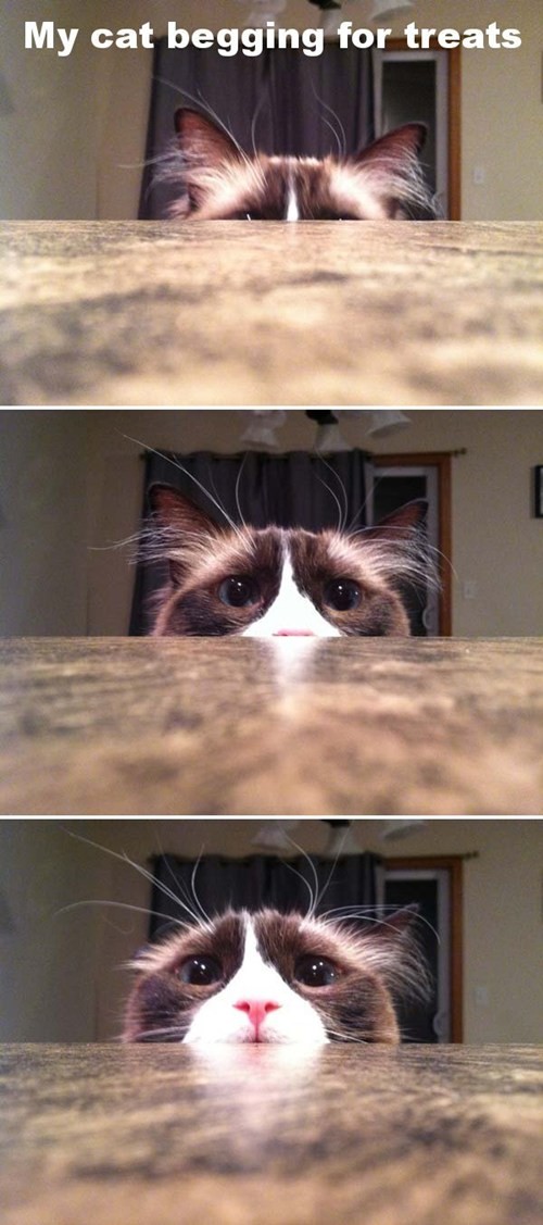 hornoxe.com_picdump278_036