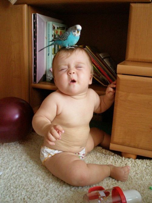 hornoxe.com_picdump278_048