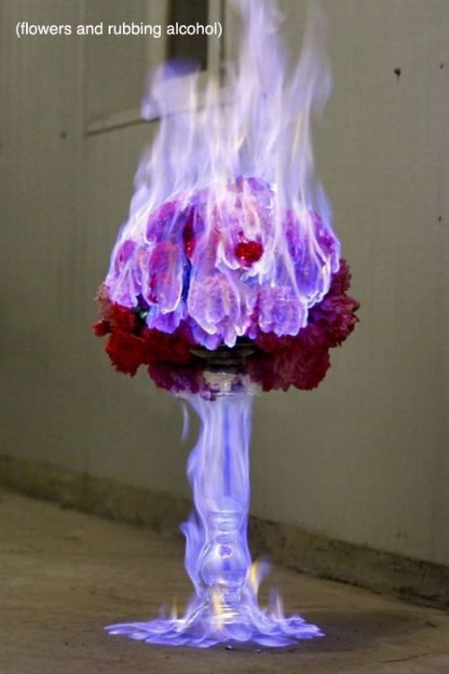 hornoxe.com_picdump278_066