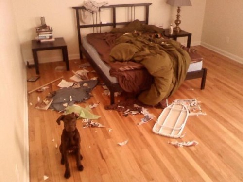 hornoxe.com_picdump278_078