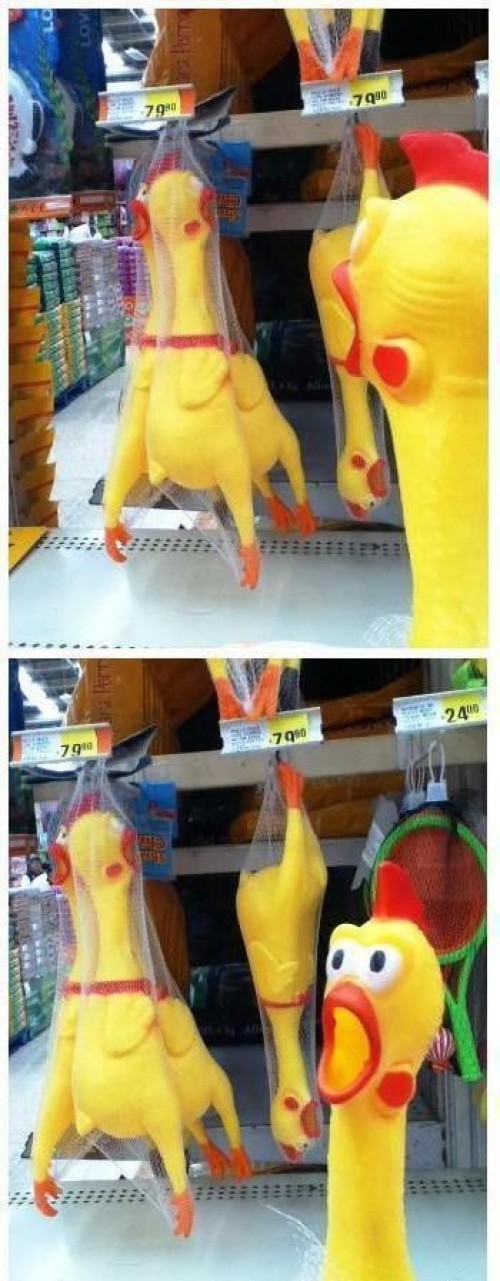 hornoxe.com_picdump278_085