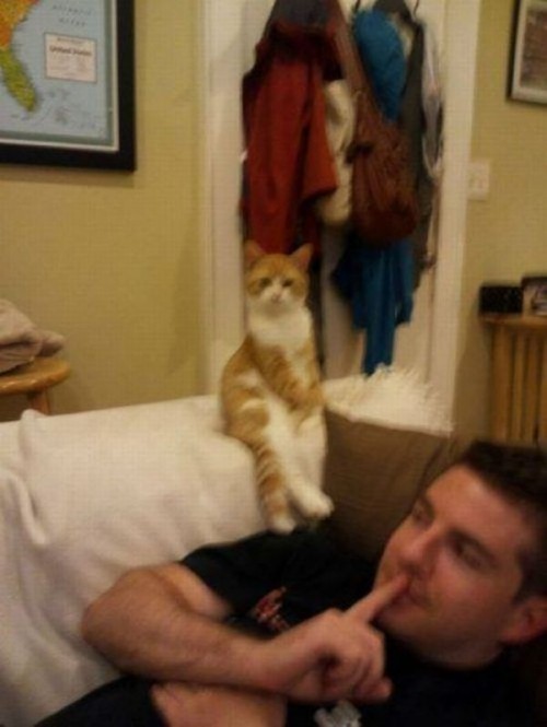 hornoxe.com_picdump278_102