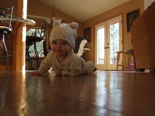 hornoxe.com_picdump278_139