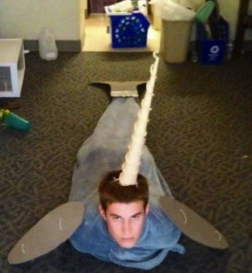 hornoxe.com_picdump278_148