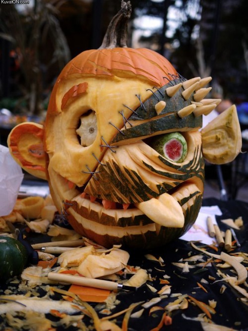 hornoxe.com_picdump278_149