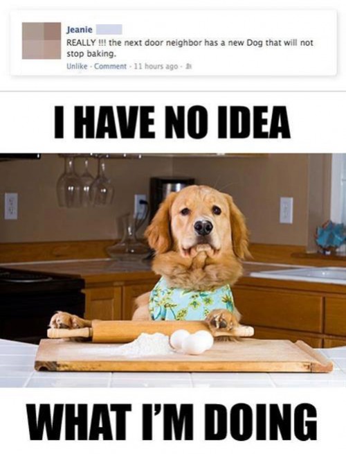 hornoxe.com_picdump278_162