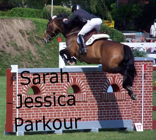 hornoxe.com_picdump279_027