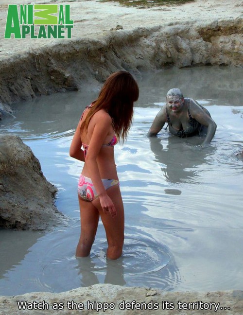 hornoxe.com_picdump279_029