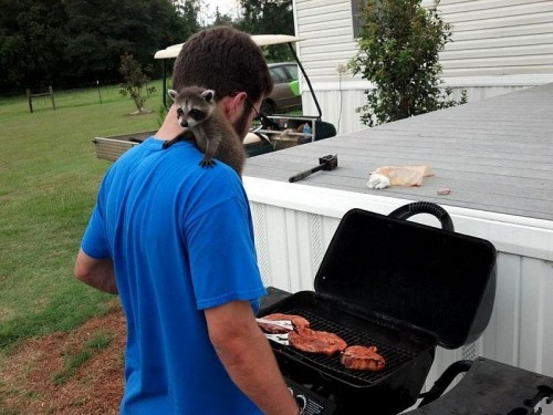 hornoxe.com_picdump279_045