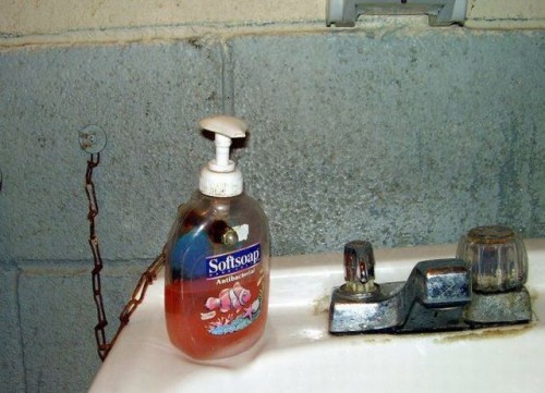 hornoxe.com_picdump279_047