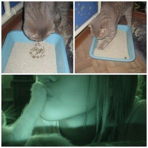 hornoxe.com_picdump279_090