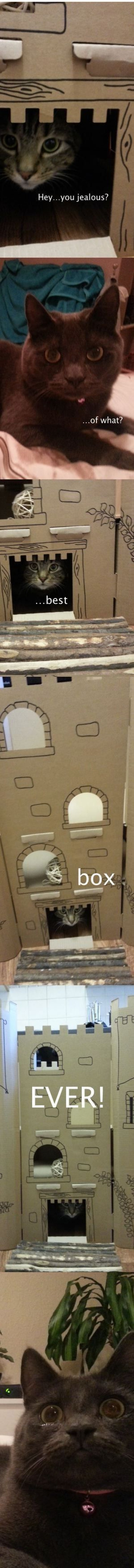 hornoxe.com_picdump279_107