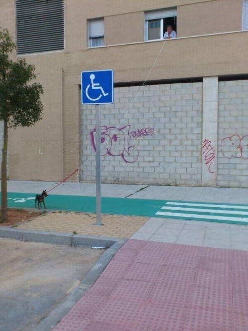 hornoxe.com_picdump279_109