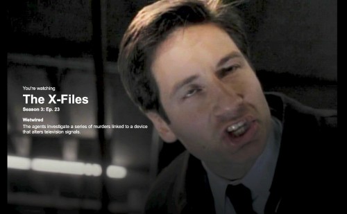 hornoxe.com_picdump279_131