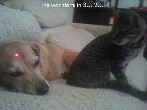 hornoxe.com_picdump279_151