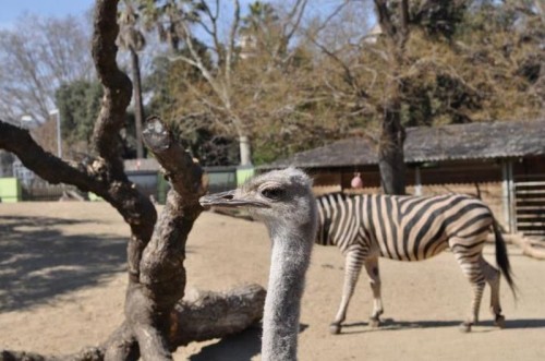 hornoxe.com_picdump279_153