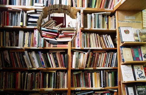 hornoxe.com_picdump279_168