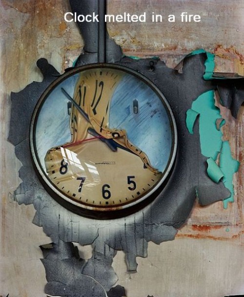 hornoxe.com_picdump279_192