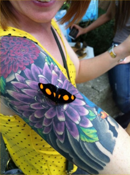 hornoxe.com_picdump279_212