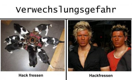 hornoxe.com_picdump279_220