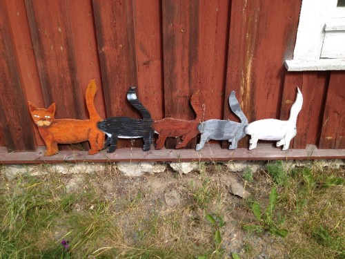 hornoxe.com_picdump280_018