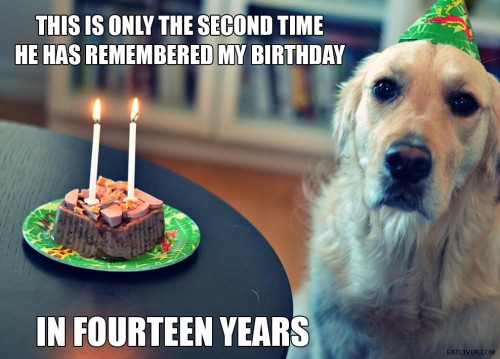 hornoxe.com_picdump280_034