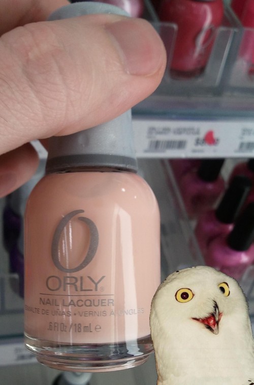 hornoxe.com_picdump280_048