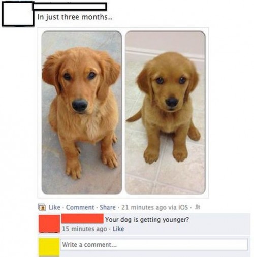 hornoxe.com_picdump280_068