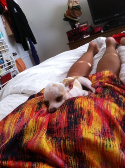 hornoxe.com_picdump280_088