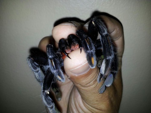 hornoxe.com_picdump280_106