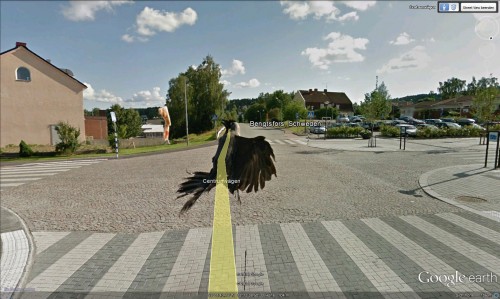 hornoxe.com_picdump280_137