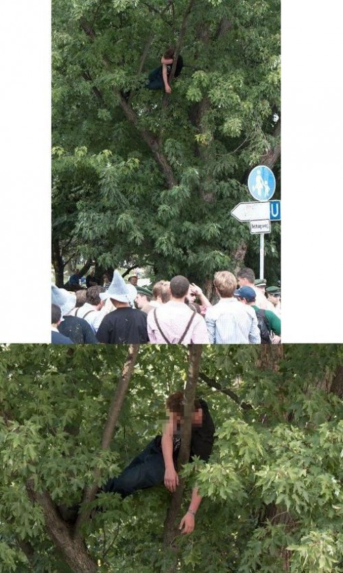 hornoxe.com_picdump280_148