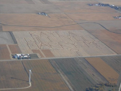 hornoxe.com_picdump280_155