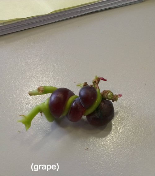 hornoxe.com_picdump280_172