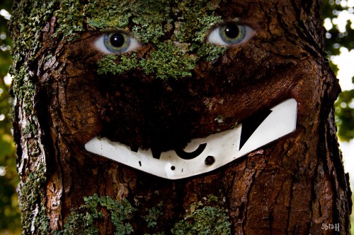 hornoxe.com_picdump280_179