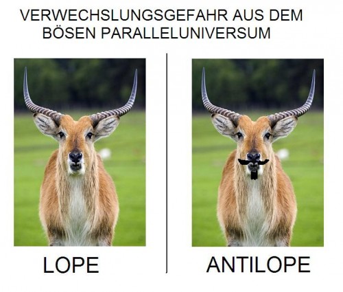 hornoxe.com_picdump281_051