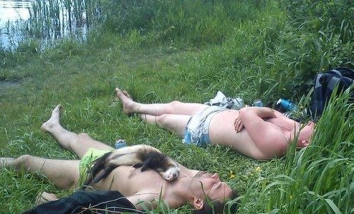 hornoxe.com_picdump281_062