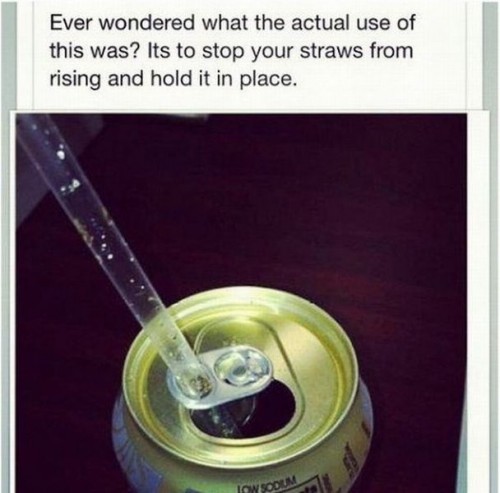 hornoxe.com_picdump281_066