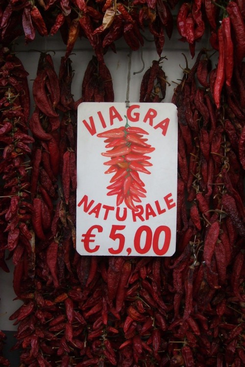 hornoxe.com_picdump281_112