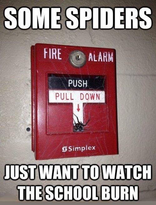 hornoxe.com_picdump281_126