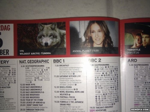 hornoxe.com_picdump281_128