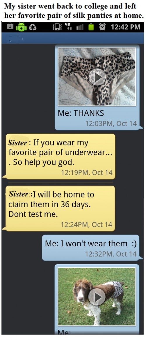 hornoxe.com_picdump281_135