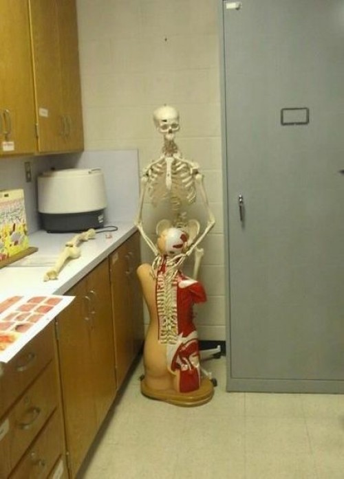 hornoxe.com_picdump281_152