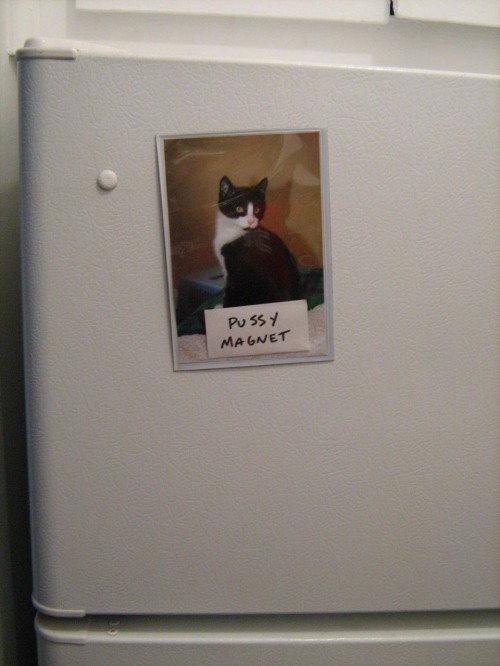 hornoxe.com_picdump281_179