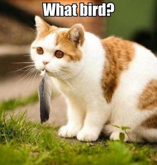 hornoxe.com_picdump281_197