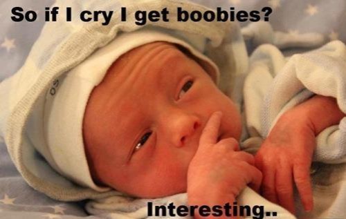 hornoxe.com_picdump282_002