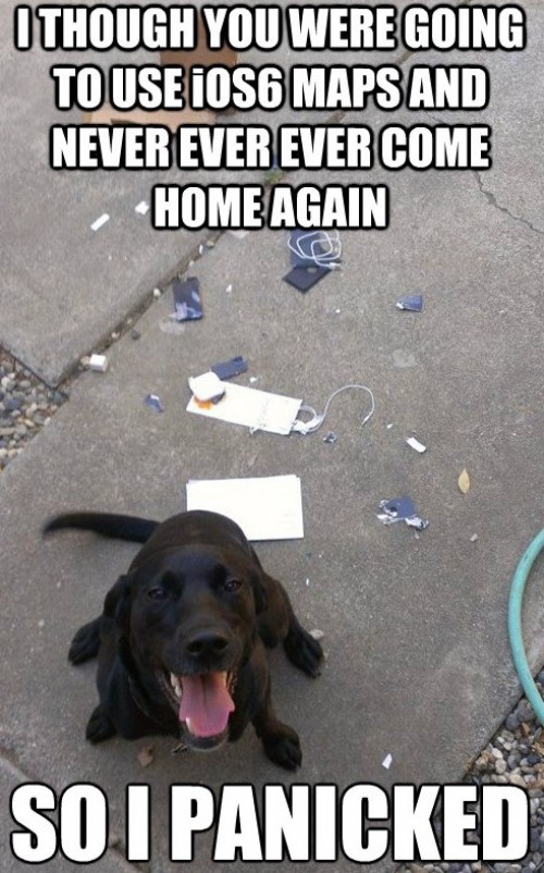 hornoxe.com_picdump282_043