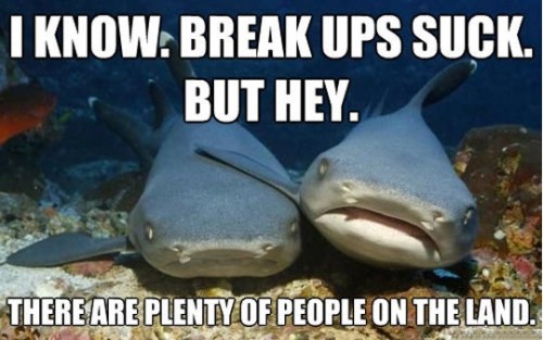 hornoxe.com_picdump282_047