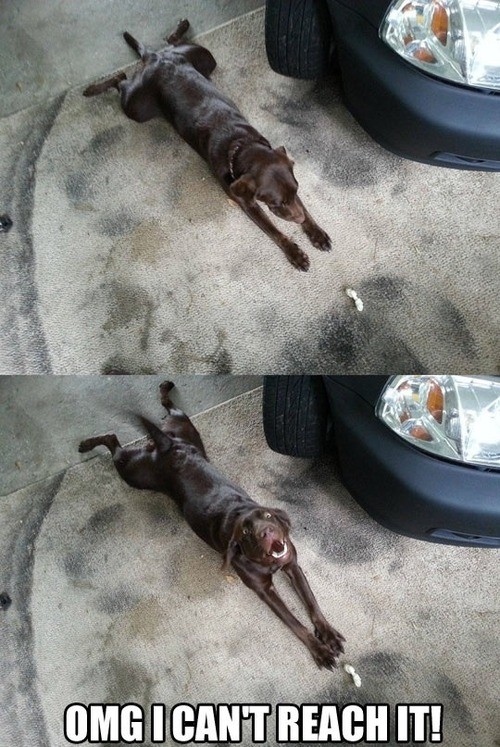 hornoxe.com_picdump282_048